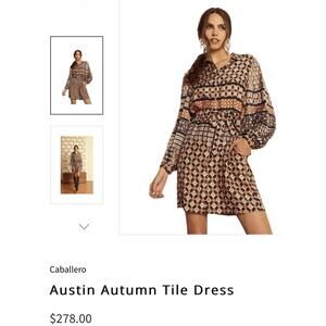 NWT Cabellero Austin autumn tile dress